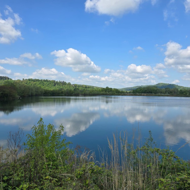 TüSee
